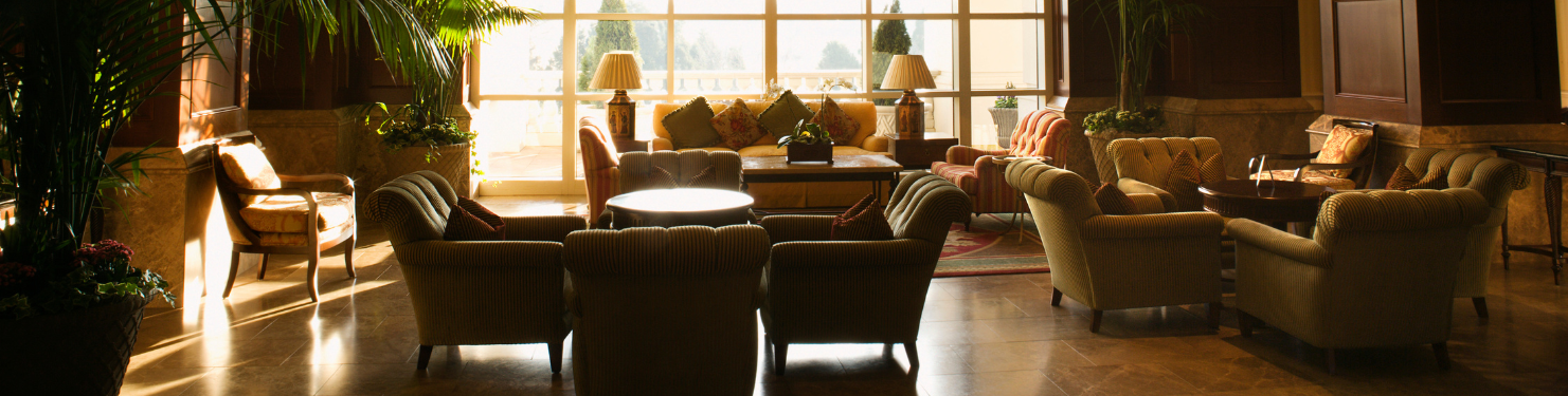 A sunlit hotel lobby with luxurious furniture