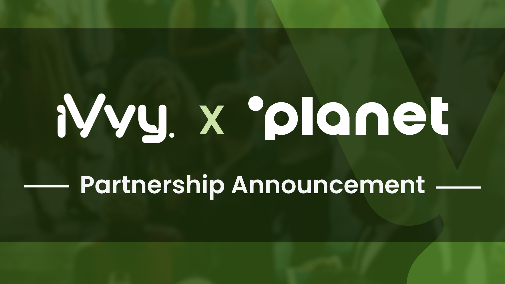 iVvy Announces Integration with Protel Cloud PMS from Planet - feature image
